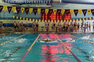 Swimsenior Night 6